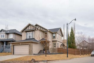 Photo 35: 83 Springborough Green SW in Calgary: Springbank Hill Detached for sale : MLS®# A1197320