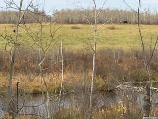 Photo 1: Acreage- adjacent to South Bay Turtle Lake in Turtle Lake: Lot/Land for sale : MLS®# SK914043
