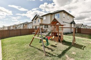 Photo 30: 2 CITADEL ESTATES Heights NW in Calgary: Citadel House for sale : MLS®# C4183849