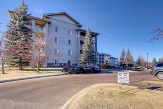 Photo 42: #312 60 Lawford Avenue: Red Deer Apartment for sale : MLS®# A1152455