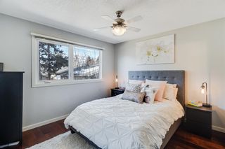 Photo 26: 5007 Benson Road NW in Calgary: Brentwood Detached for sale : MLS®# A2035689