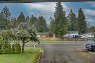Photo 29: 3983 197 Street in Langley: Brookswood Langley House for sale : MLS®# R2667967