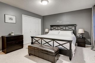 Photo 14: 173 Copperfield Mews SE in Calgary: Copperfield Detached for sale : MLS®# A1056814