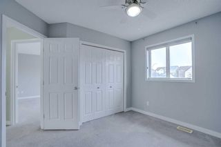 Photo 23: 98 Evansbrooke Park NW in Calgary: Evanston Detached for sale : MLS®# A2124358