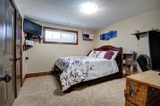 Photo 46: 2557 Coopers Circle SW: Airdrie Detached for sale : MLS®# A1238764