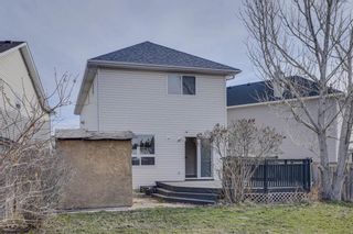 Photo 32: 117 Coral Springs Mews NE in Calgary: Coral Springs Detached for sale : MLS®# A2121614