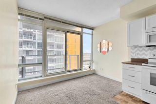 Photo 9: 1402 3830 Brentwood Road NW in Calgary: Brentwood Apartment for sale : MLS®# A2122143