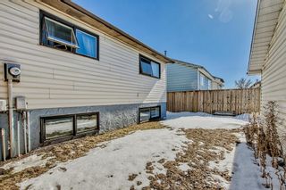 Photo 21: 35 Whitehaven Road NE in Calgary: Whitehorn Detached for sale : MLS®# A2034251