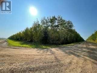 Photo 3: 110354 Rge Rd 155 in Rural Mackenzie County: Vacant Land for sale : MLS®# A2081240