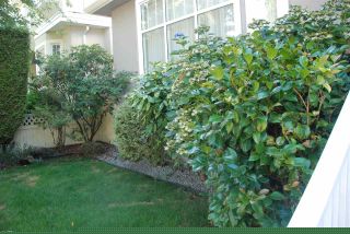 Photo 2: 3526 PETERSHAM Avenue in Vancouver: Killarney VE House for sale (Vancouver East)  : MLS®# R2230751
