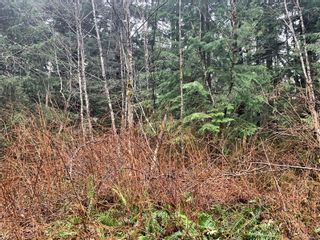 Photo 11: Lot 61 Busby Island in Sonora Island: Isl Small Islands (Campbell River Area) Land for sale (Islands)  : MLS®# 893766