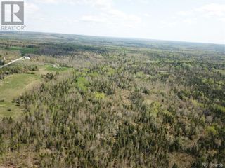 Photo 18: -- 730 Route in Pomeroy Ridge: Vacant Land for sale : MLS®# NB087048