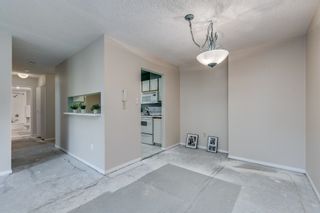 Photo 9: 317 1190 PACIFIC Street in Coquitlam: North Coquitlam Condo for sale in "PACIFIC GLEN" : MLS®# R2717241