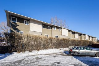 Photo 6: 23 8112 36 Avenue NW in Calgary: Bowness Row/Townhouse for sale : MLS®# A2034576
