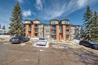 Photo 17: 213 6400 Coach Hill Road SW in Calgary: Coach Hill Apartment for sale : MLS®# A2121082