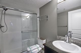 Photo 17: 4305 1317 27 Street SE in Calgary: Albert Park/Radisson Heights Apartment for sale : MLS®# A1107979