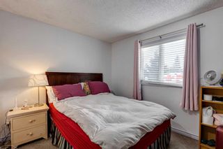 Photo 17: 20 Bedwood Crescent NE in Calgary: Beddington Heights Detached for sale : MLS®# A2099844