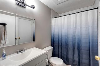 Photo 17: 8 Erin Ridge Place SE in Calgary: Erin Woods Detached for sale : MLS®# A1187064