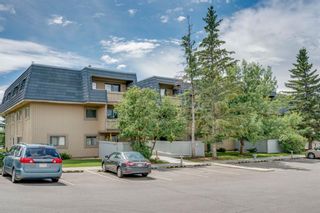 Photo 2: 2310 3115 51 Street SW in Calgary: Glenbrook Apartment for sale : MLS®# A1014586