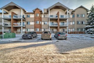 Photo 20: 107 92 Saddletree Court NE in Calgary: Saddle Ridge Apartment for sale : MLS®# A2118184