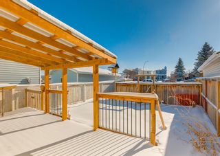 Photo 26: 237 Martindale Boulevard NE in Calgary: Martindale Detached for sale : MLS®# A2027804