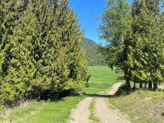 Photo 31: 3134 Mabel Lake Road in Lumby: Vacant Land for sale : MLS®# 10274152