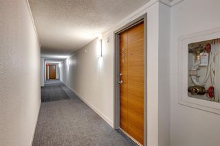 Photo 4: 804 735 12 Avenue SW in Calgary: Beltline Apartment for sale : MLS®# A2050357