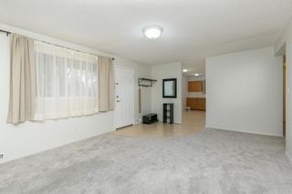 Photo 21: 3340 41 Street SW in Calgary: Glenbrook Full Duplex for sale : MLS®# A2019450