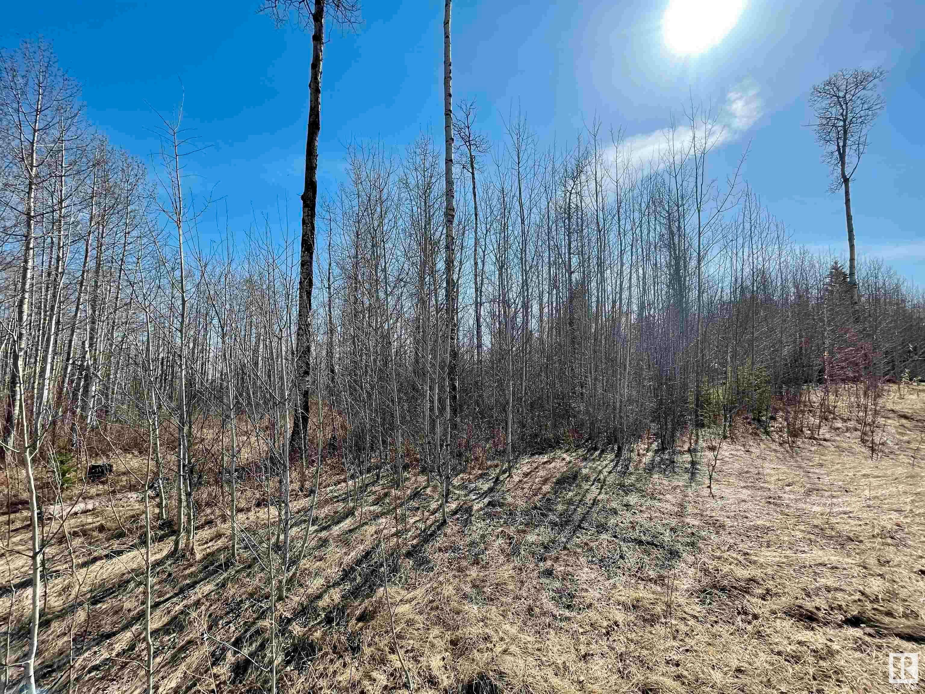 Main Photo: 22 Village West: Rural Wetaskiwin County Vacant Lot/Land for sale : MLS®# E4371093