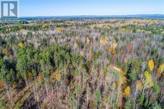 Photo 11: LUBITZ ROAD in Pembroke: Vacant Land for sale : MLS®# 1323850