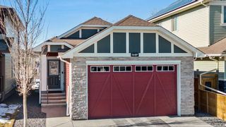 Main Photo: 161 Walgrove Terrace SE in Calgary: Walden Detached for sale : MLS®# A2108354