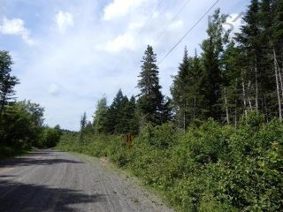 Photo 3: 15.5 acres Lairg Road in New Lairg: 108-Rural Pictou County Vacant Land for sale (Northern Region)  : MLS®# 202226624