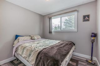 Photo 21: 207 Whitaker Close NE in Calgary: Whitehorn Detached for sale : MLS®# A2047027