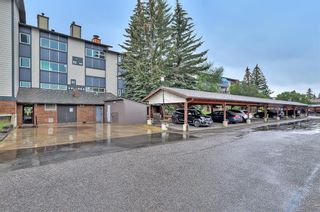 Photo 44: 314 550 Westwood Drive SW in Calgary: Westgate Apartment for sale : MLS®# A1258211
