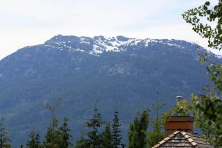 Photo 8: 6 4894 PAINTED CLIFF Road in Whistler: Benchlands Condo for sale : MLS®# R2076957