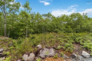 Photo 16: Lot 7 Maple Ridge Drive in White Point: 406-Queens County Vacant Land for sale (South Shore)  : MLS®# 202315168