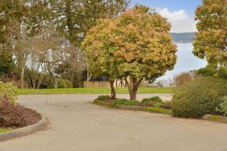 Photo 17: 6729 Welch Rd in Central Saanich: CS Martindale House for sale : MLS®# 923864