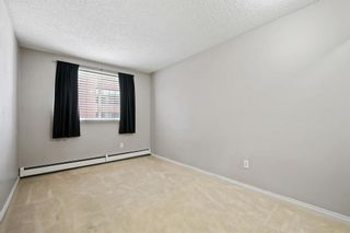 Photo 19: 203 305 25 Avenue SW in Calgary: Mission Apartment for sale : MLS®# A2044945