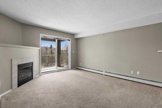 Photo 11: 320 4000 Citadel Meadow Point NW in Calgary: Citadel Apartment for sale : MLS®# A2123539