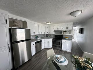 Photo 5: 291 3223 83rd Street NW in Calgary: Greenwood/Greenbriar Mobile for sale : MLS®# A2132642