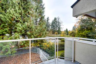Photo 8: 31 5575 PATTERSON Avenue, Burnaby