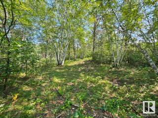 Photo 3: 19 51124 RGE RD 264: Rural Parkland County Vacant Lot/Land for sale : MLS®# E4280974