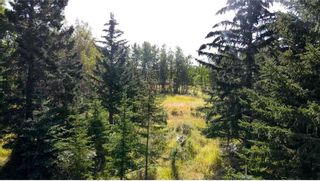 Photo 8: 23 Grove Lane in Rural Rocky View County: Rural Rocky View MD Residential Land for sale : MLS®# A2131088