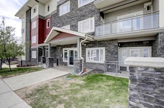 Photo 38: 308 23 Millrise Drive SW in Calgary: Millrise Apartment for sale : MLS®# A1220681