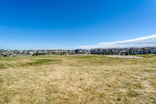 Photo 21: 4209 99 Copperstone Park SE in Calgary: Copperfield Apartment for sale : MLS®# A1218349