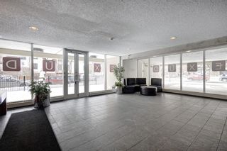 Photo 26: 604 1209 6 Street SW in Calgary: Beltline Apartment for sale : MLS®# A2122873