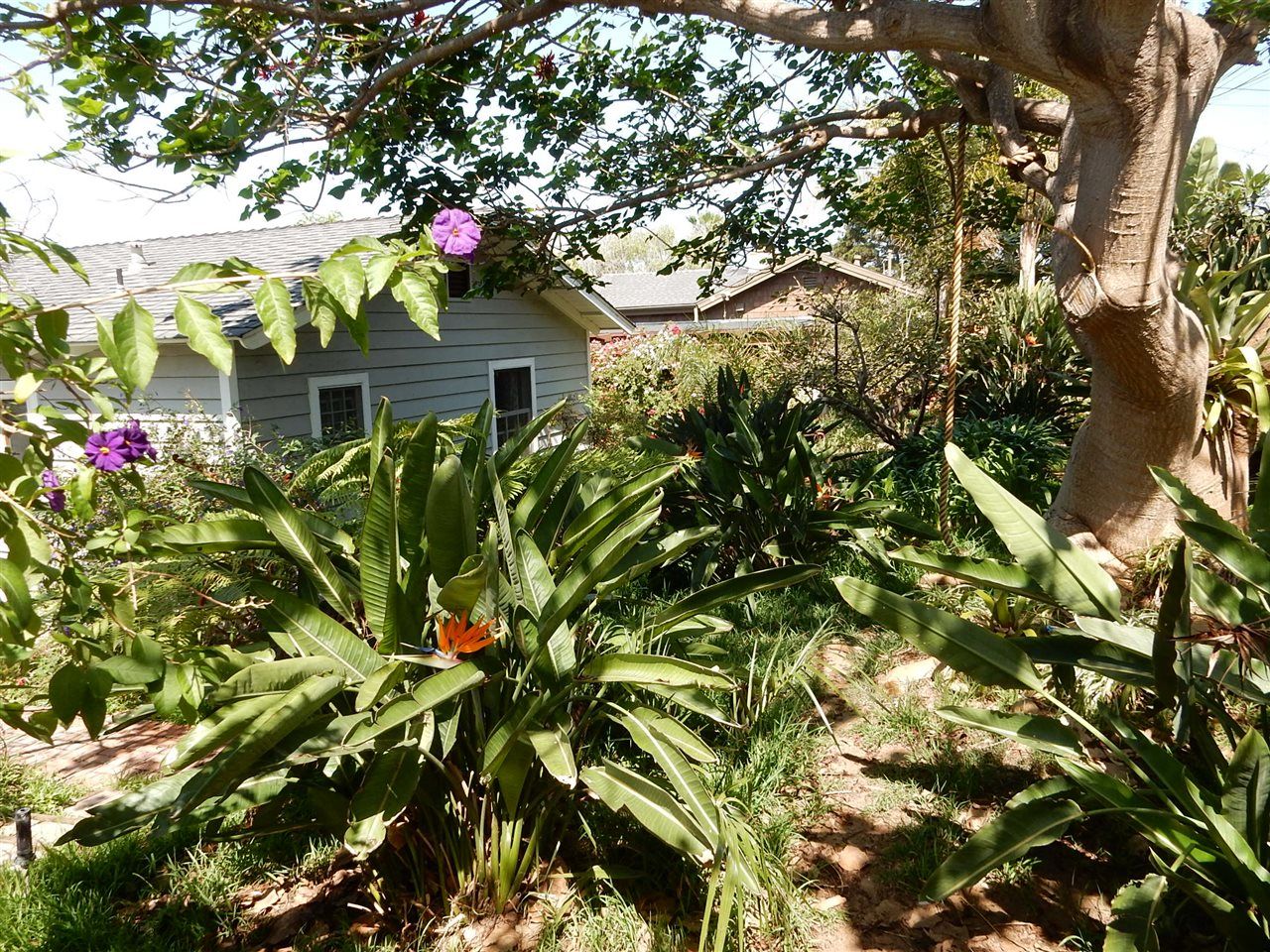 Photo 6: Photos: LEUCADIA House for sale : 2 bedrooms : 380 Hillcrest in Encinitas