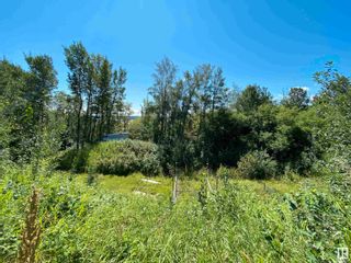 Photo 3: 26227 MEADOWVIEW Drive: Rural Sturgeon County Vacant Lot/Land for sale : MLS®# E4340363