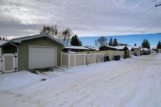 Photo 37: 440 96 Avenue SE in Calgary: Acadia Detached for sale : MLS®# A1169963