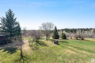 Photo 38: 241037 B TWP RD 472: Rural Wetaskiwin County House for sale : MLS®# E4339111
